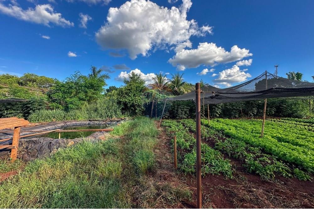 Terreno - Venda - Ribeirão Preto , São Paulo - 15.jpg - 780241010-16