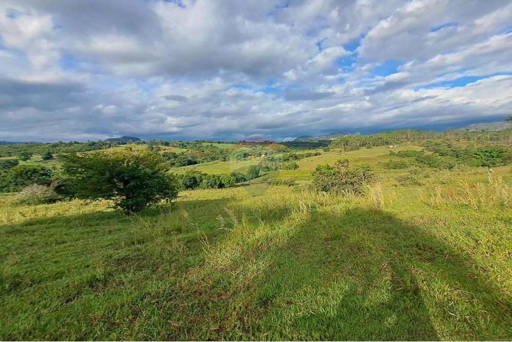 Fazenda - Venda - Cajuru , São Paulo - IMG-20250406-WA0166.jpg - 780171030-57