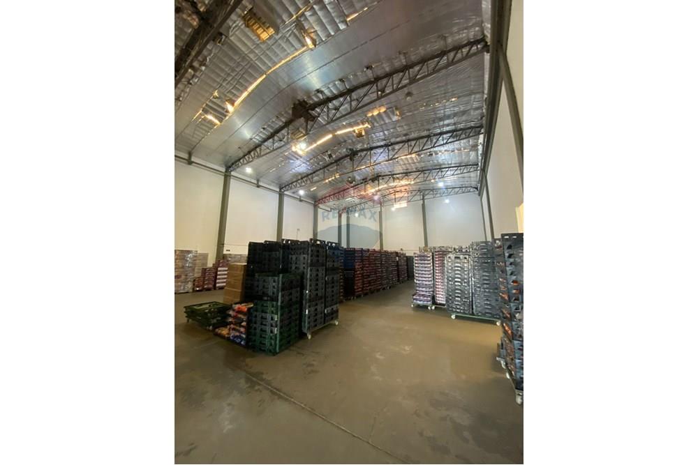 Galpão - Alugar - Ribeirão Preto , São Paulo - IMG-20250724-WA0008.jpg - 780181012-733