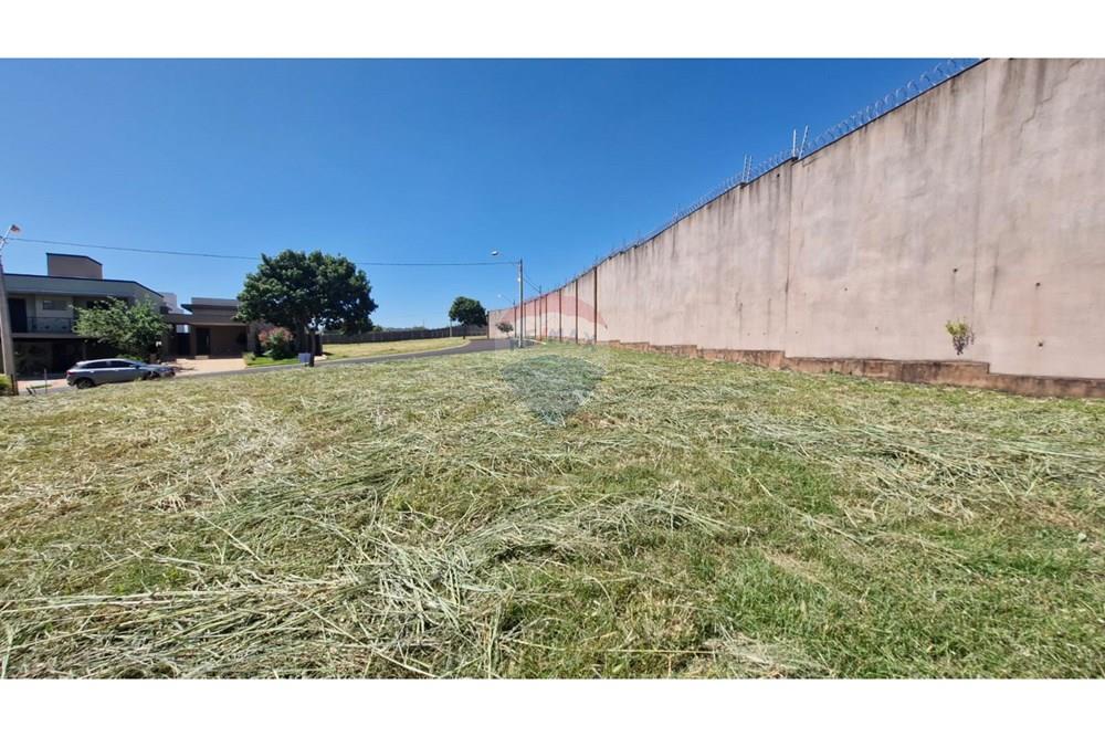 Terreno - Venda - Ribeirão Preto , São Paulo - WhatsApp Image 2025-03-21 at 11.20.34 (2).jpeg - 780181011-265