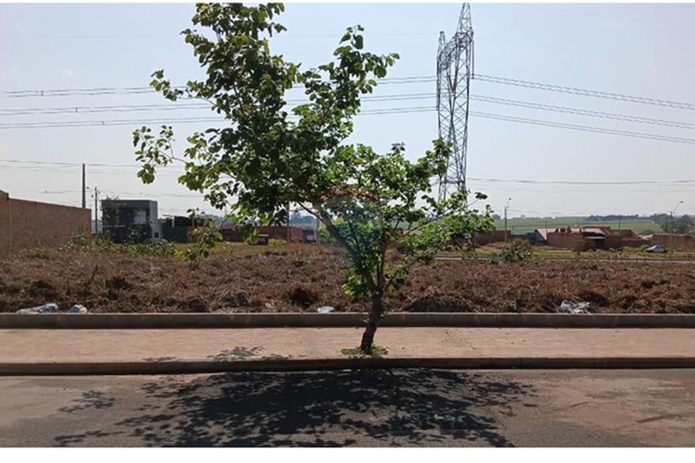 Terreno - Venda - Ribeirão Preto , São Paulo - 5.jpeg - 780171003-242
