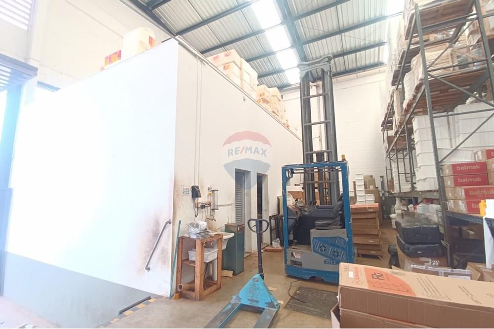 Galpão - Alugar - Ribeirão Preto , São Paulo - IMG-20250910-WA0077.jpg - 780181012-794