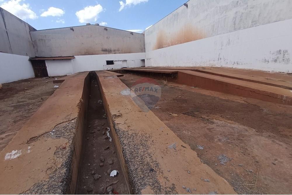 Outros - Alugar - Ribeirão Preto , São Paulo - IMG-20250812-WA0045.jpg - 780181012-753