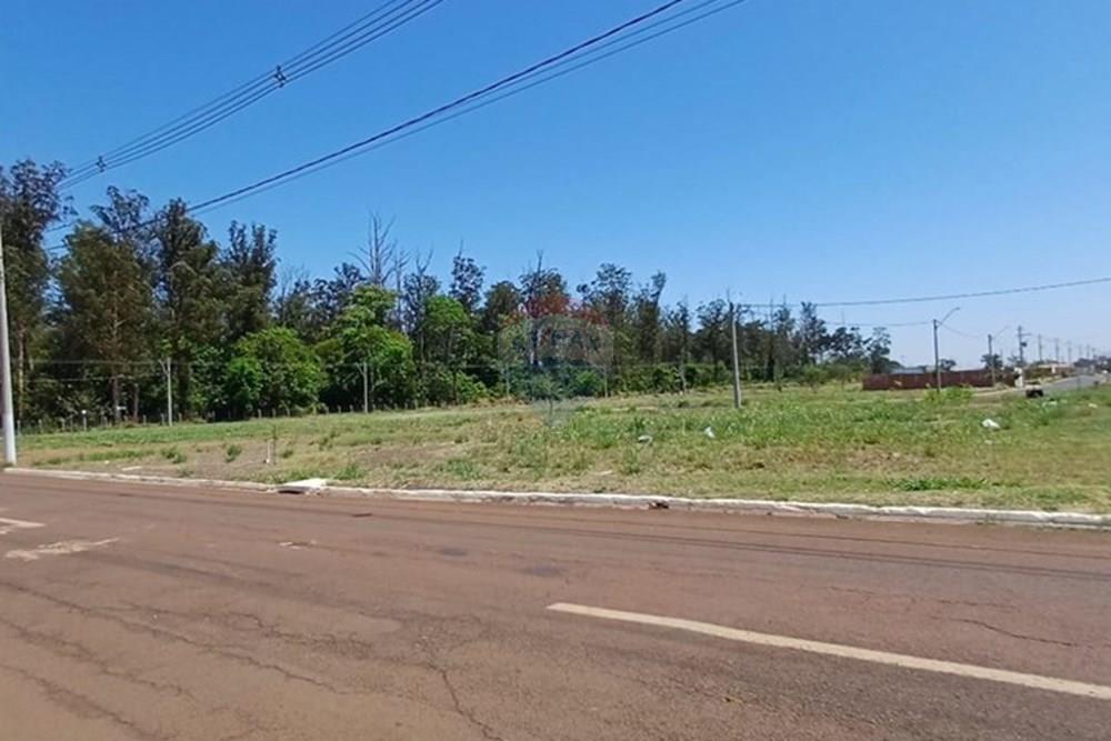 Terreno - Venda - Sertãozinho , São Paulo - IMG-20250926-WA0008.jpg - 780191023-14