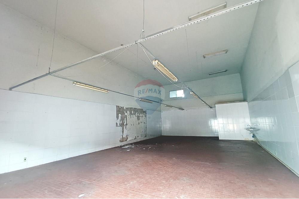 Galpão - Alugar - Ribeirão Preto , São Paulo - IMG_20250303_091043.jpg - 780181012-586