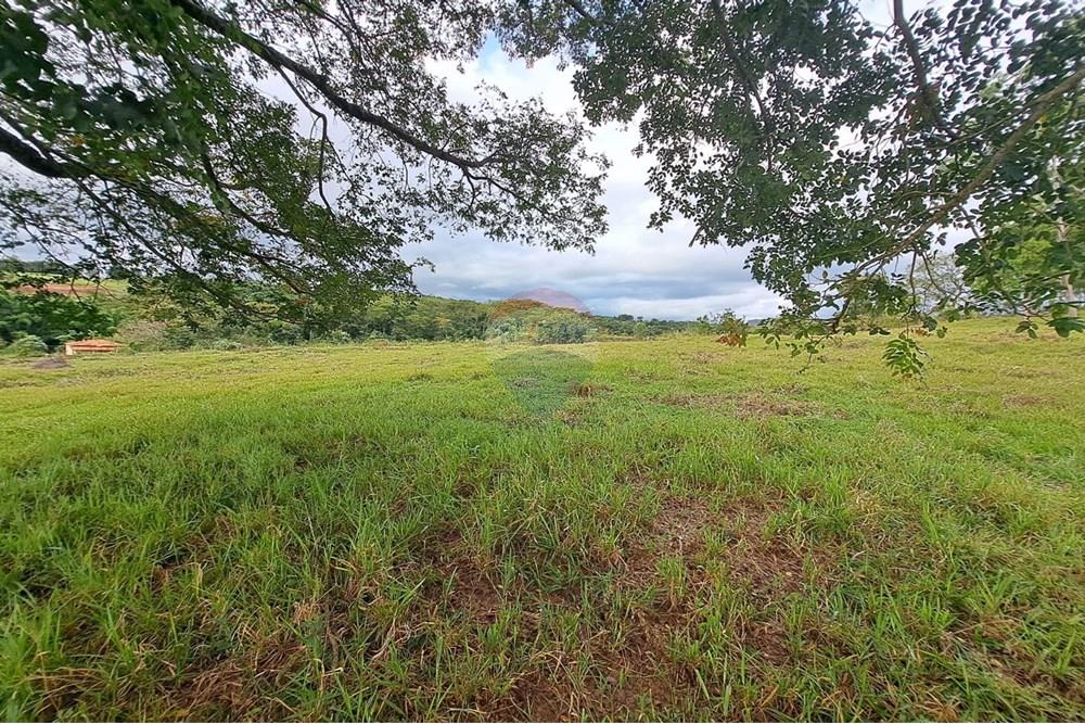 Fazenda - Venda - Cajuru , São Paulo - IMG-20250406-WA0111.jpg - 780171030-57