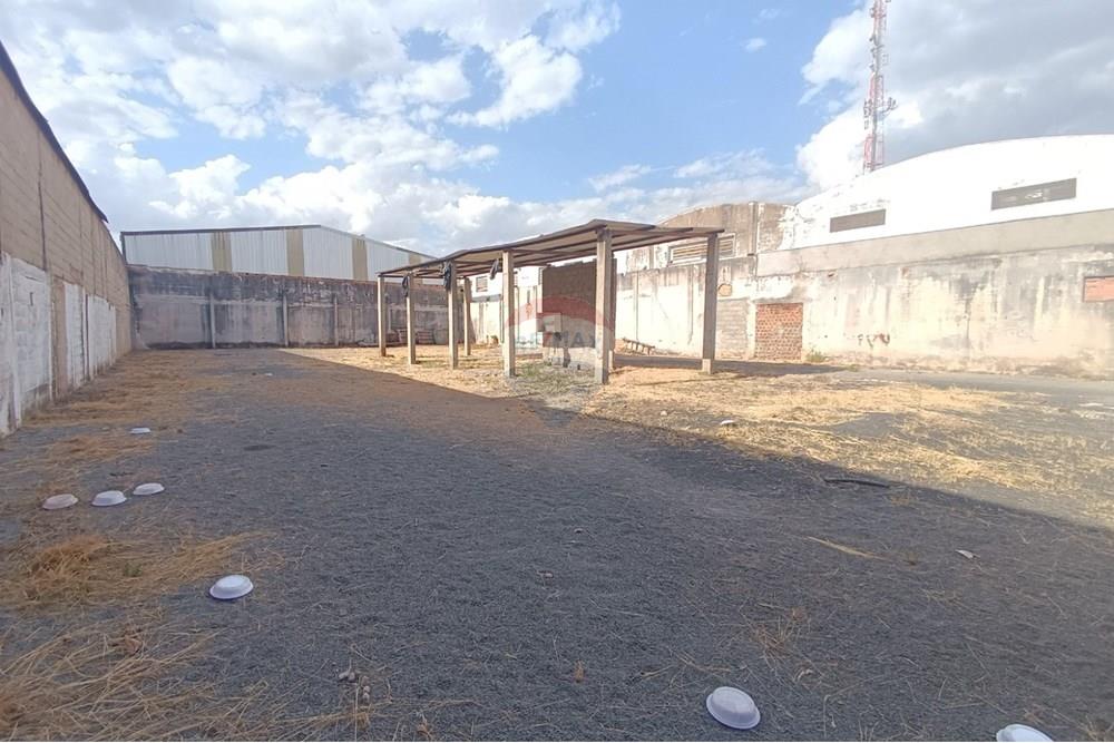 Outros - Alugar - Ribeirão Preto , São Paulo - IMG-20250812-WA0032.jpg - 780181012-754