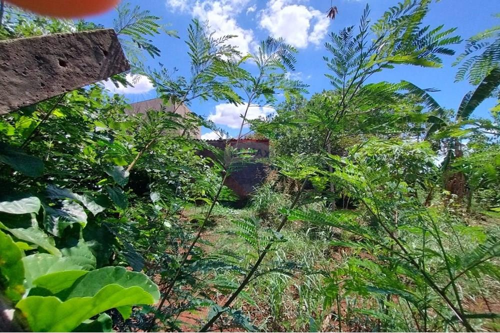 Terreno - Venda - Ribeirão Preto , São Paulo - WhatsApp Image 2025-11-04 at 14.10.31.jpeg - 780181003-72