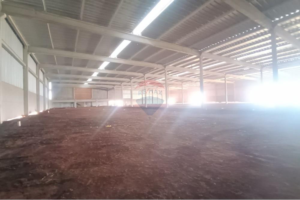 Galpão - Alugar - Ribeirão Preto , São Paulo - IMG_20250919_145319.jpg - 780181012-806