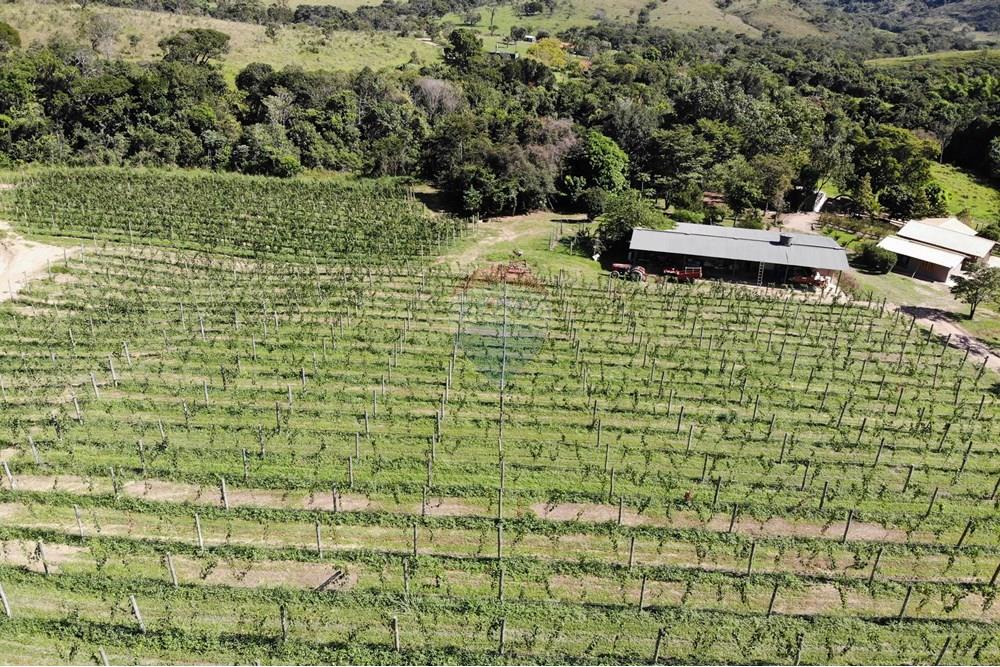 Hotel/ Pousada - Venda - São João Batista do Glória , Minas Gerais - DJI_0208.JPG - 780251001-47