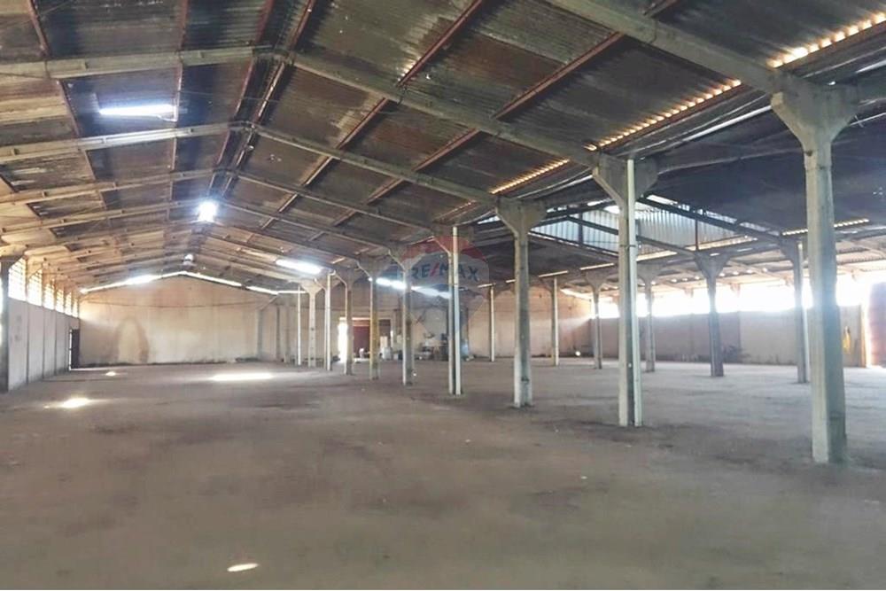 Galpão - Alugar - Ribeirão Preto , São Paulo - IMG-20250527-WA0007.jpg - 780181012-676