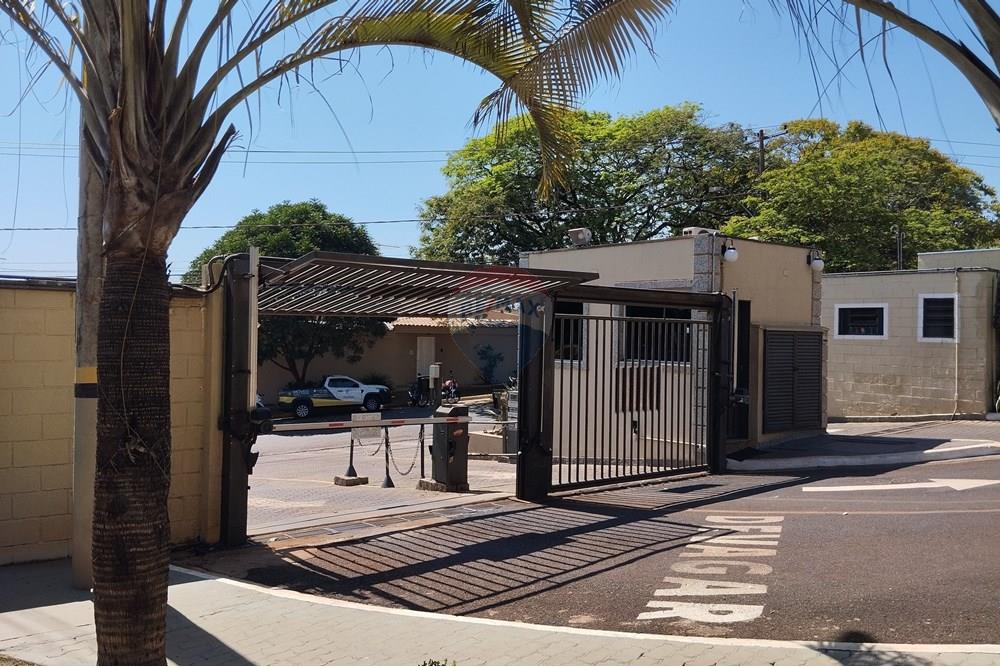 Cobertura - Venda - Ribeirão Preto , São Paulo - IMG_20250911_102326.jpg - 780131053-21