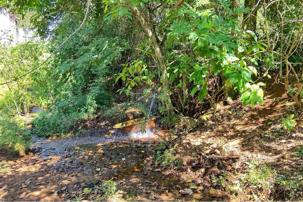 Chácara / Sítio / Fazenda - Venda - Brodowski , São Paulo - IMG-20250313-WA0090.jpg - 780131009-119