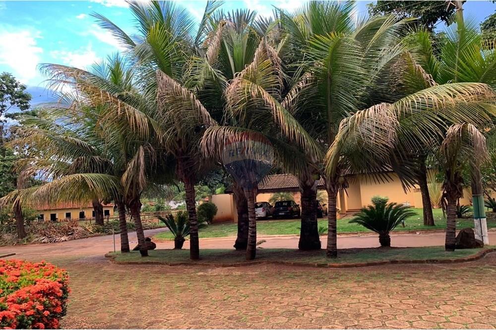 Casa de Condomínio - Venda - Ribeirão Preto , São Paulo - arvores grandes de jardim.jpeg - 780131038-30