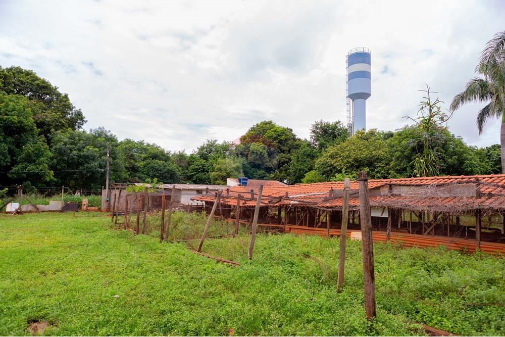 Chácara / Sítio / Fazenda - Venda - Jaboticabal , São Paulo - 371A9785.jpg - 780201029-20