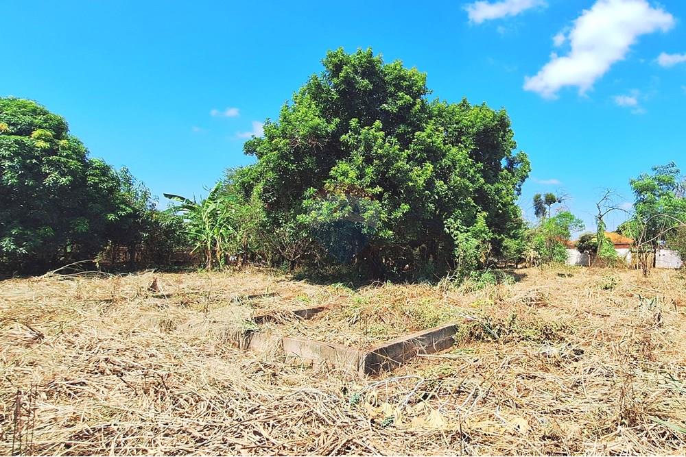Terreno - Venda - Guatapará , São Paulo - 20250316_105751.jpg - 780261028-15