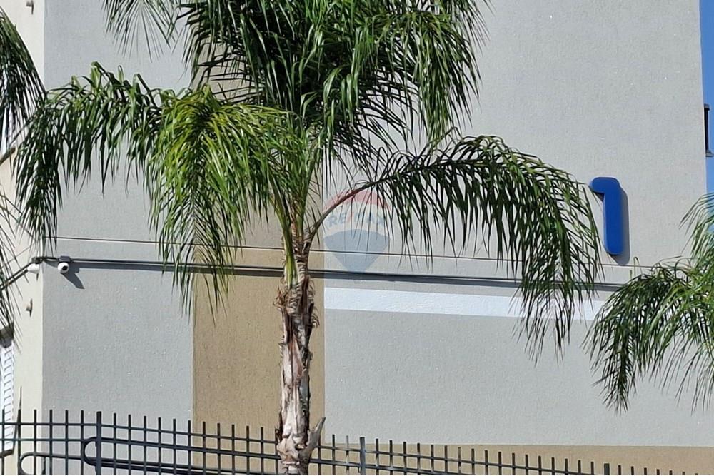 Apartamento - Venda - Ribeirão Preto , São Paulo - 20250819_095416.jpg - 780171006-276