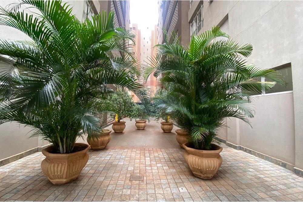 Apartamento - Venda - Ribeirão Preto , São Paulo - 2.jpg - 780121011-78