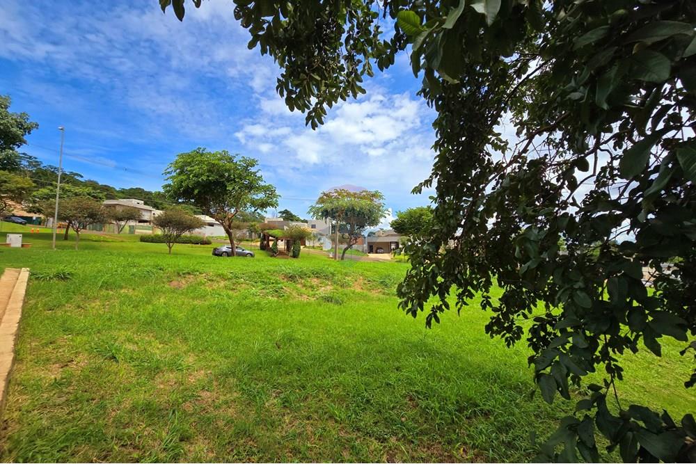 Terreno - Venda - Ribeirão Preto , São Paulo - 20250129_101630.jpg - 780251037-64