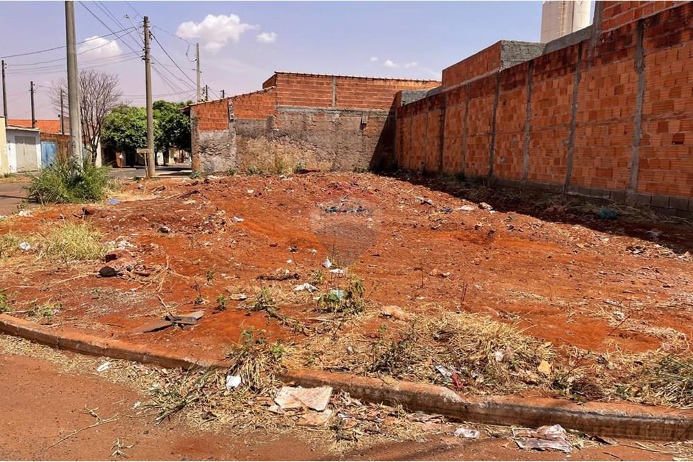 Terreno - Venda - São Joaquim da Barra , São Paulo - IMG-20250916-WA0269.jpg - 780301010-2