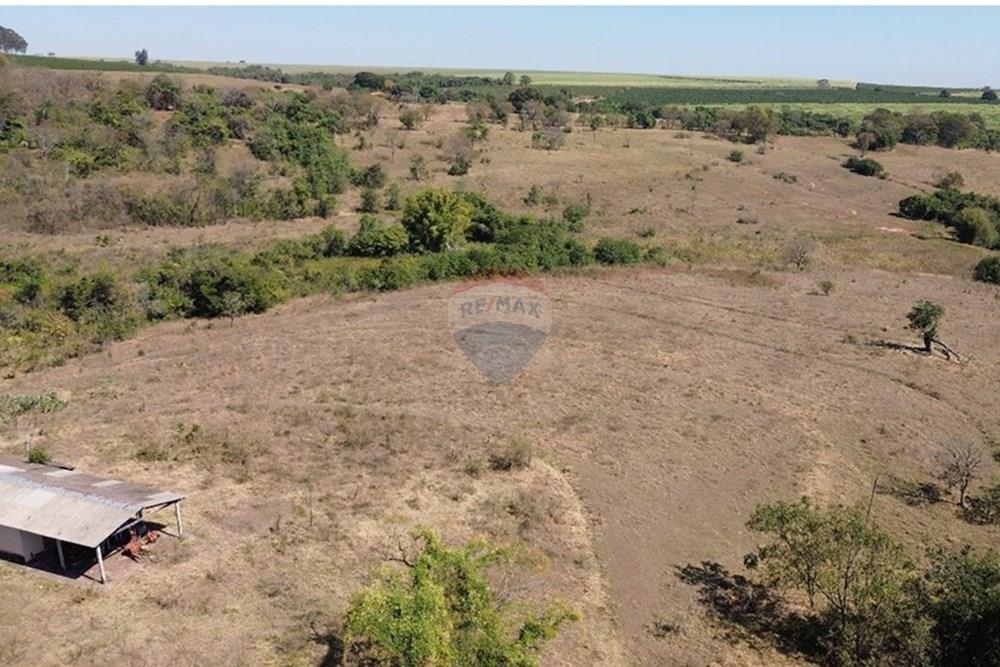 Chácara / Sítio / Fazenda - Venda - Cajuru , São Paulo - 8a20dc81ccb342ff83aa6bbc4bb9fbb3.jpg - 780171030-59