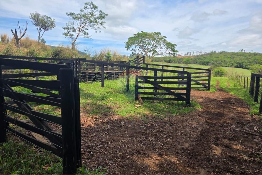 Chácara / Sítio / Fazenda - Venda - Santo Antônio da Alegria , São Paulo - IMG-20251020-WA0186.jpg - 780171030-66