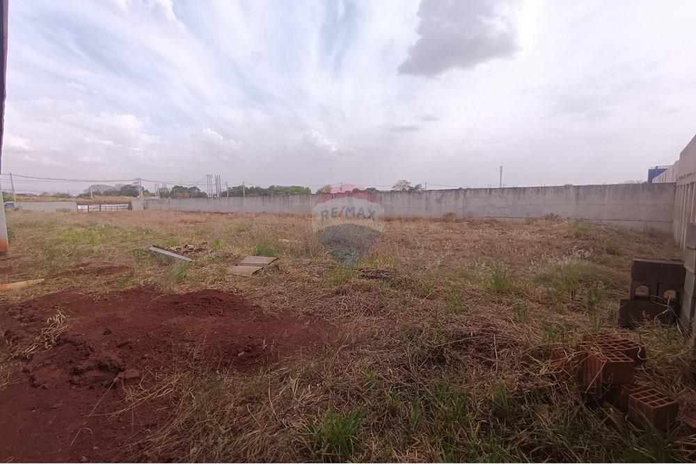 Galpão - Alugar - Ribeirão Preto , São Paulo - IMG_20250919_145137.jpg - 780181012-806