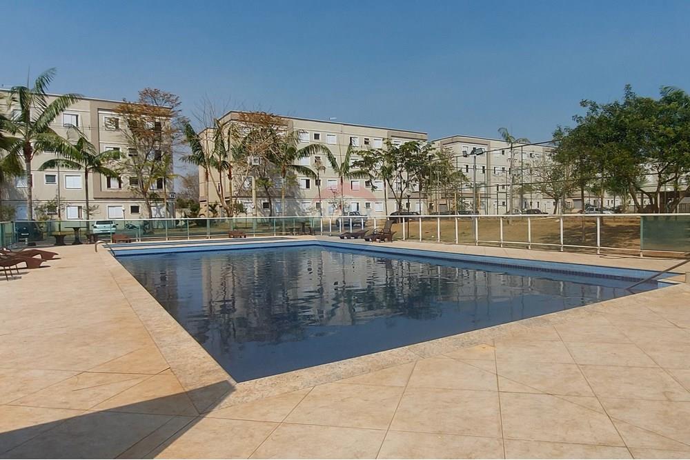 Apartamento - Alugar - Ribeirão Preto , São Paulo - 20240913_103158.jpg - 780071015-333