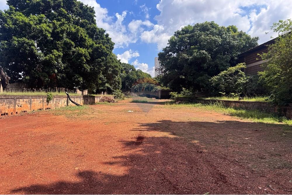 Terreno - Alugar - Ribeirão Preto , São Paulo - RUA ANTONIO FERNANDES FIGUEROA 1166 TERRENO (3 de 9).jpg - 780071015-251