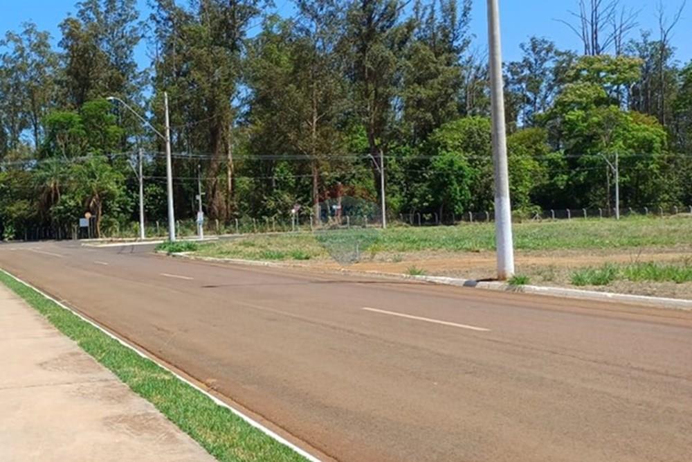 Terreno - Venda - Sertãozinho , São Paulo - IMG-20250926-WA0012.jpg - 780191023-14