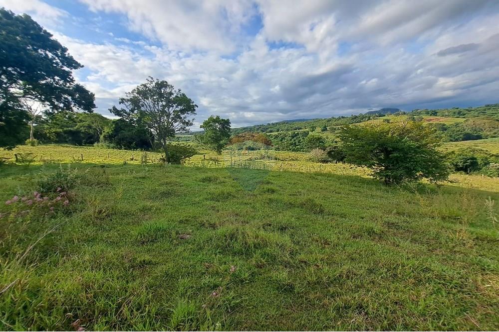 Fazenda - Venda - Cajuru , São Paulo - IMG-20250406-WA0164.jpg - 780171030-57