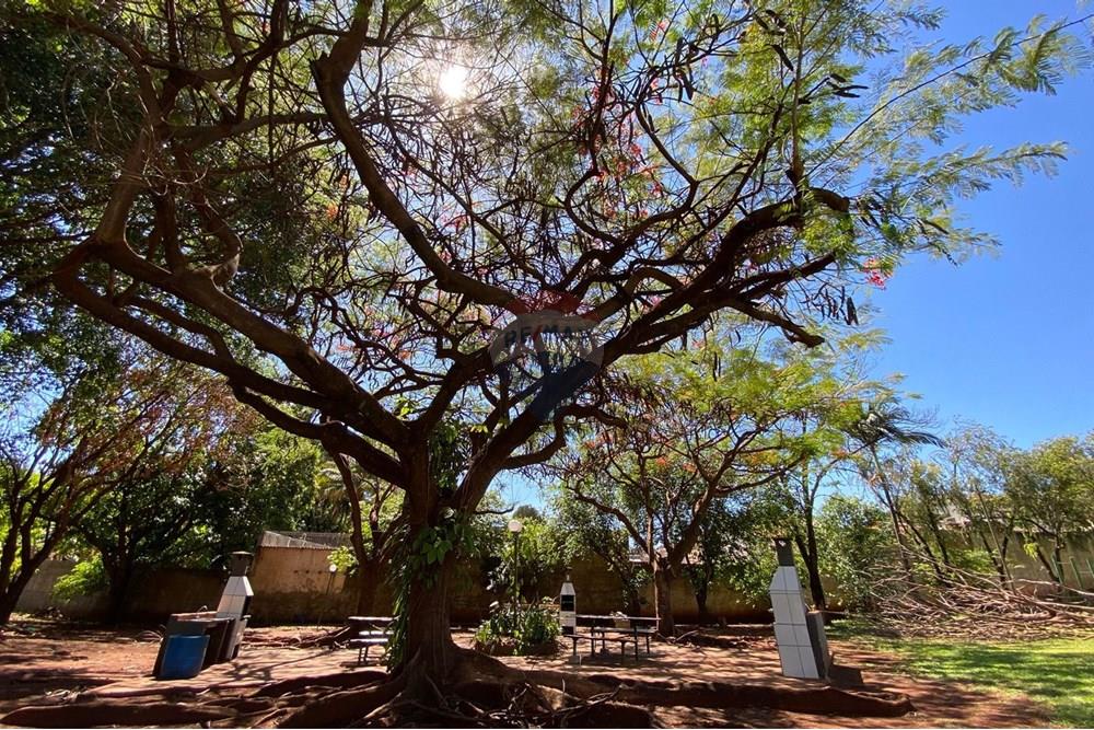 Apartamento - Venda - Ribeirão Preto , São Paulo - WhatsApp Image 2025-10-23 at 12.07.56.jpeg - 780241030-14