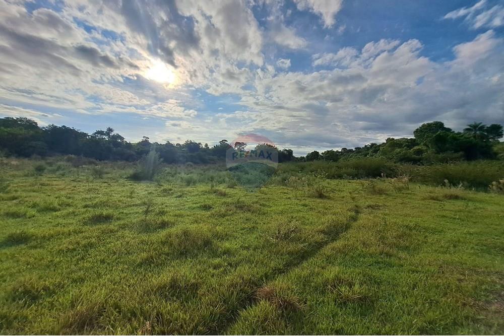 Fazenda - Venda - Cajuru , São Paulo - IMG-20250406-WA0141.jpg - 780171030-57