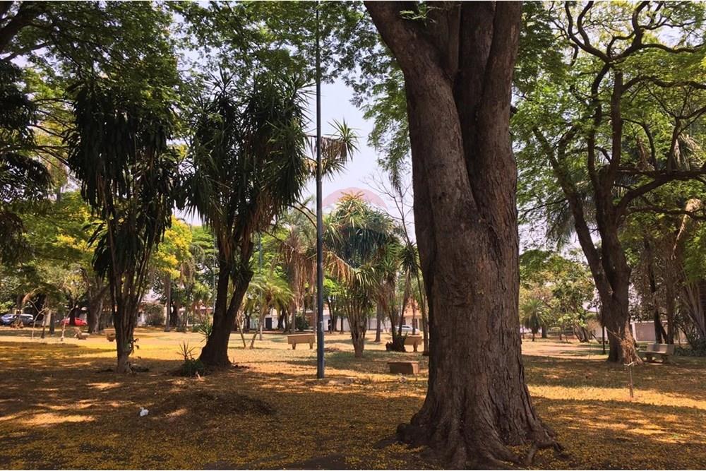 Casa - Venda - Ribeirão Preto , São Paulo - 50b3a8aa-4fd0-4506-b695-f502347b7716.jpg - 780091112-2