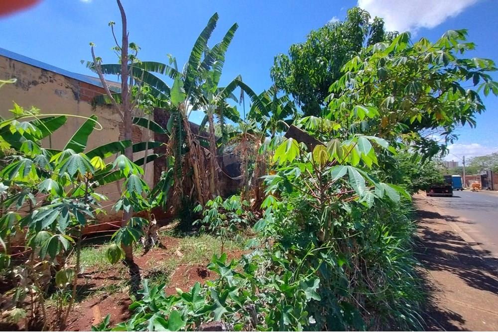 Terreno - Venda - Ribeirão Preto , São Paulo - WhatsApp Image 2025-11-04 at 14.10.30 (1).jpeg - 780181003-72