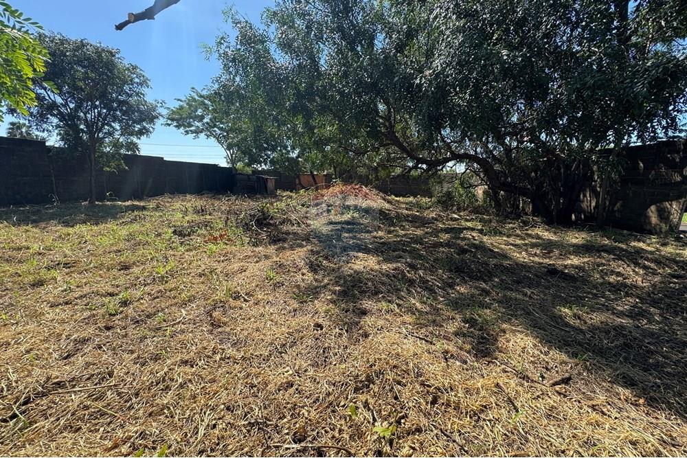 Terreno - Venda - Ribeirão Preto , São Paulo - IMG_7916.JPG - 780171042-30