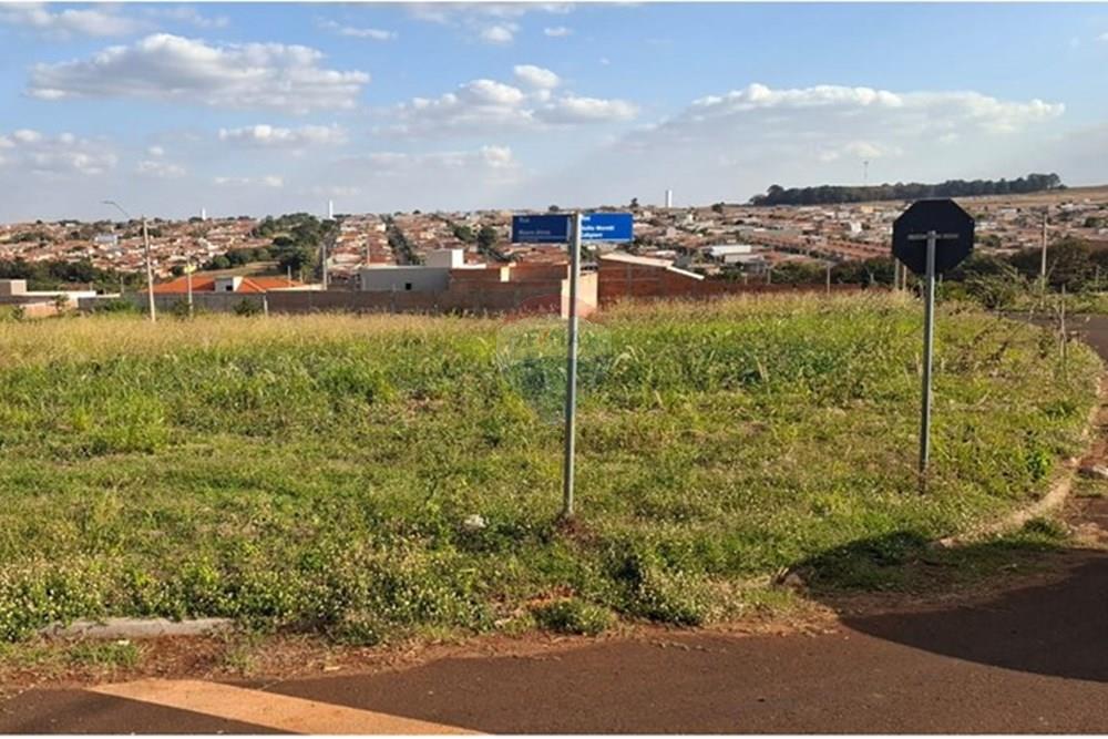 Terreno - Venda - Cravinhos , São Paulo - Imagem do WhatsApp de 2025-07-09 à(s) 15.47.37_c0e57eb5.jpg - Layout aberto - 780091043-55