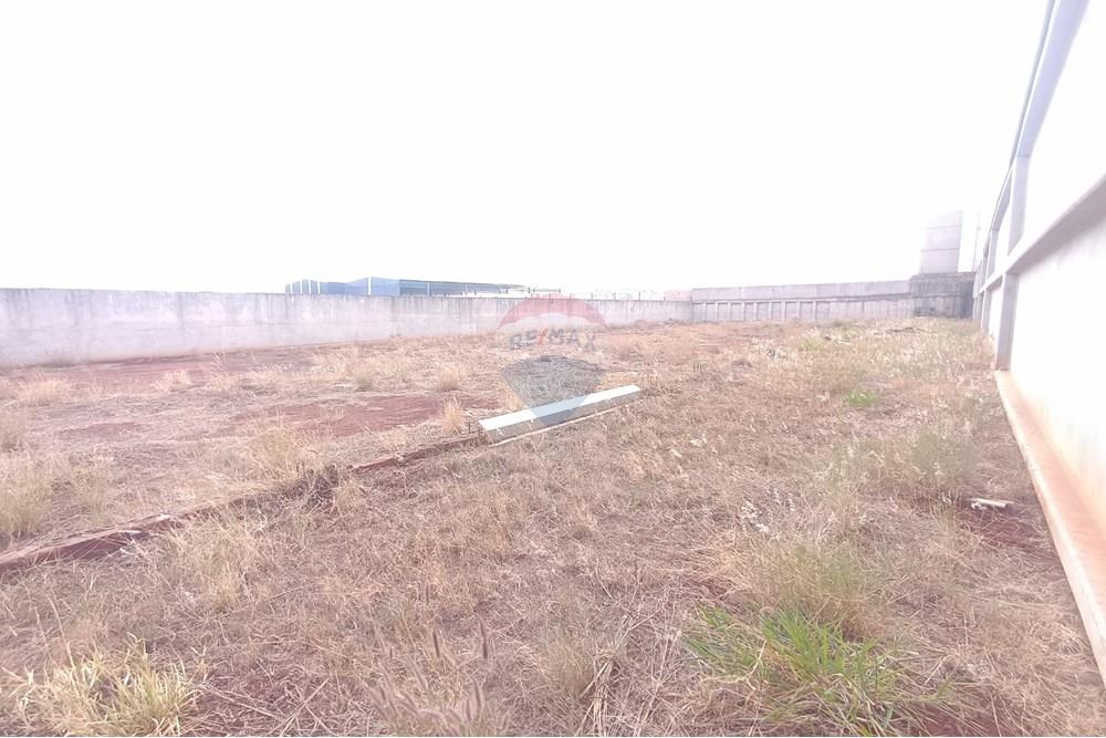 Galpão - Alugar - Ribeirão Preto , São Paulo - IMG_20250919_145016.jpg - 780181012-806