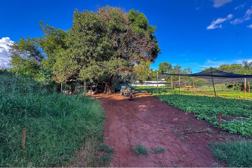 Terreno - Venda - Ribeirão Preto , São Paulo - 6.jpg - 780241010-16