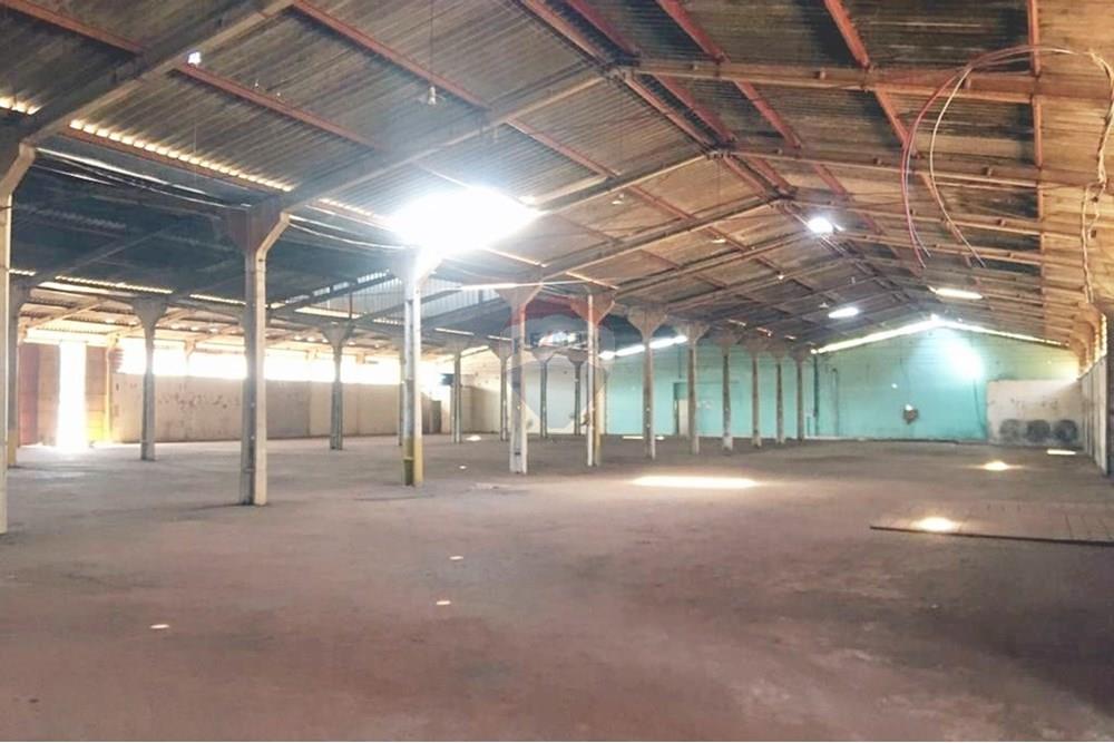 Galpão - Alugar - Ribeirão Preto , São Paulo - IMG-20250527-WA0006.jpg - 780181012-676