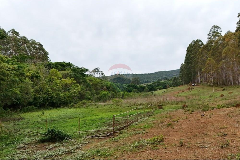 Chácara / Sítio / Fazenda - Venda - Aiuruoca , Minas Gerais - DJI_20241113153431_0307_D.JPG - 780251035-5