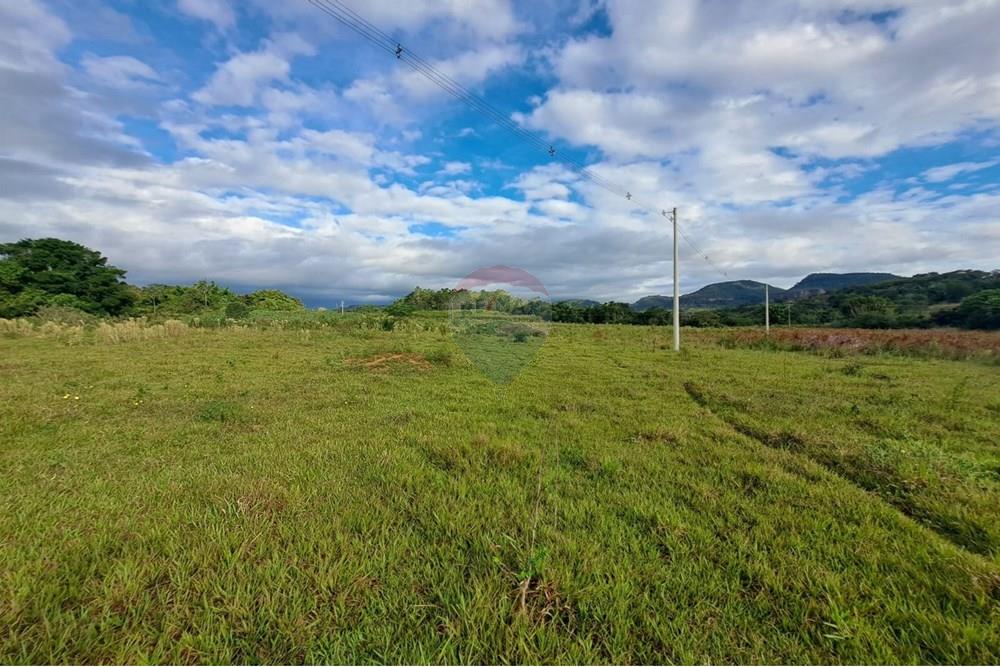 Fazenda - Venda - Cajuru , São Paulo - IMG-20250406-WA0143.jpg - 780171030-57
