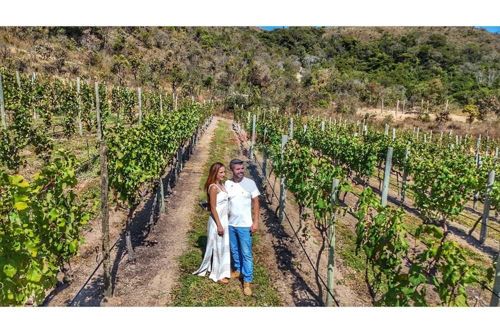 Hotel/ Pousada - Venda - São João Batista do Glória , Minas Gerais - IMG-20250807-WA0025.jpg - 780251001-47