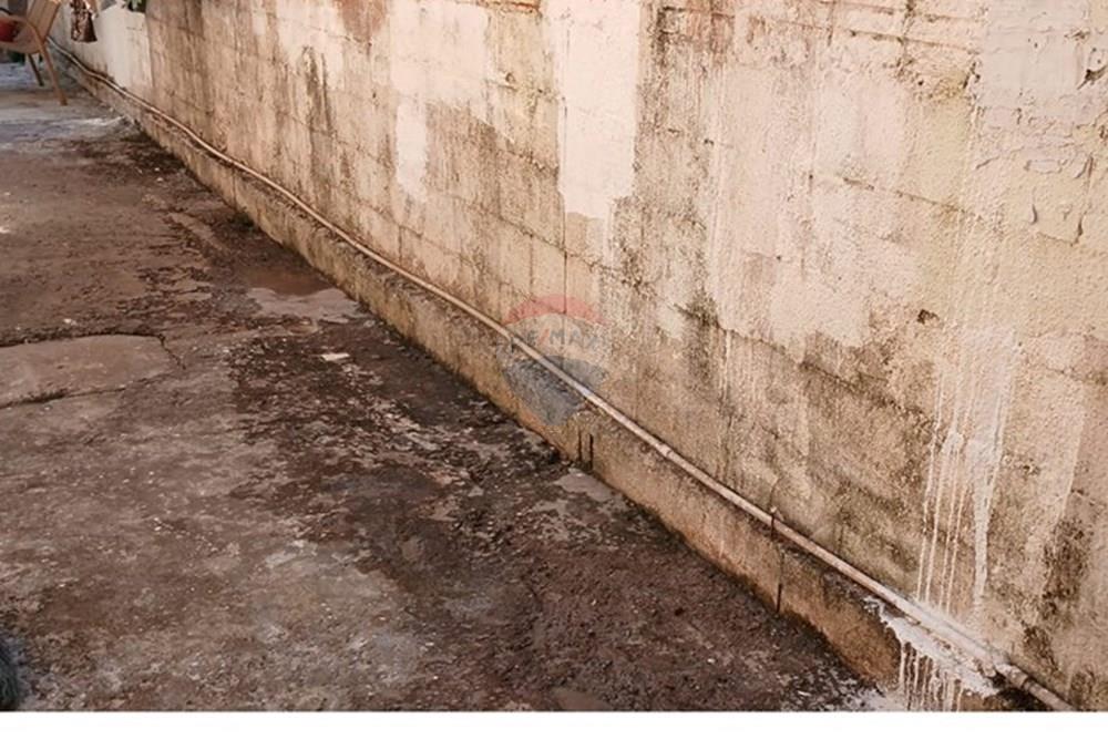 Casa - Venda - Ribeirão Preto , São Paulo - 14.jpeg - 780171003-229