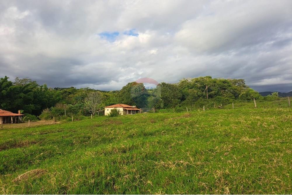 Chácara / Sítio / Fazenda - Venda - Cajuru , São Paulo - IMG-20250406-WA0128.jpg - 780171030-59