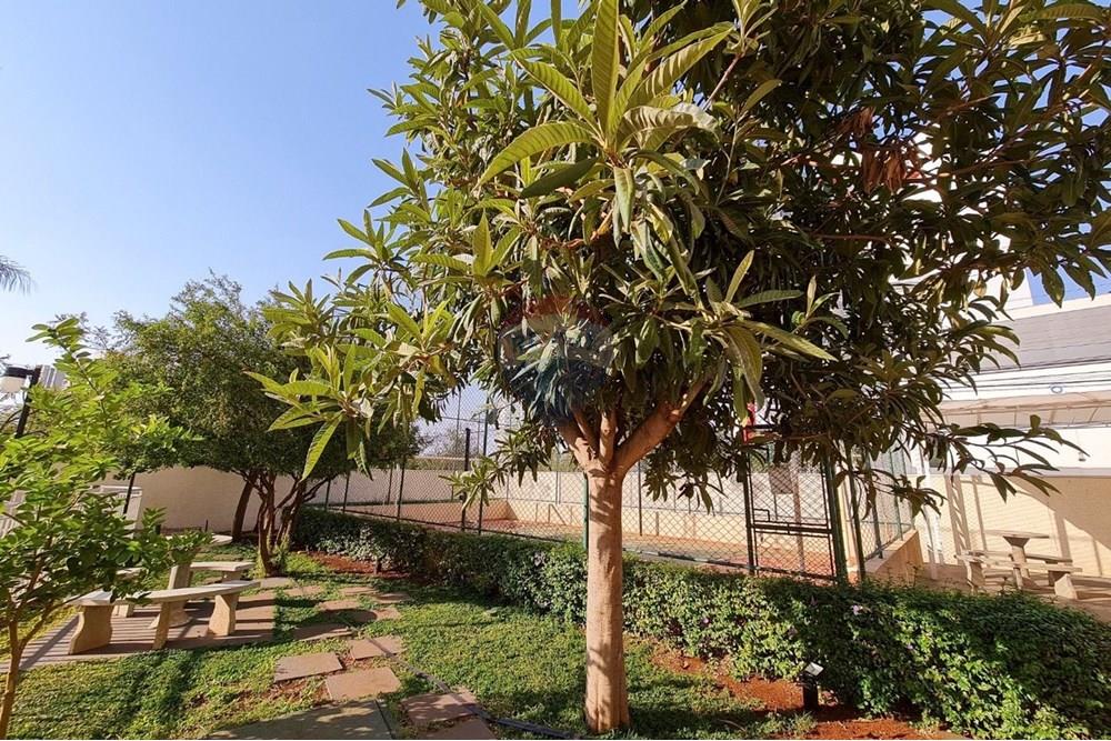 Apartamento - Alugar - Ribeirão Preto , São Paulo - Prima Vista 9.jpg - 780071083-1