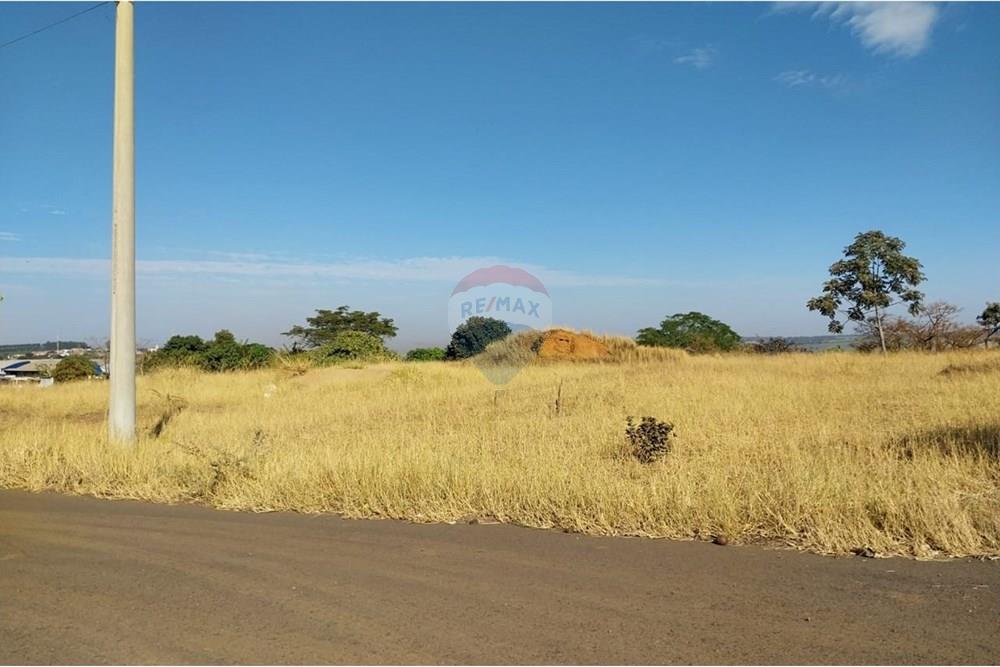 Terreno - Venda - Restinga , São Paulo - IMG-20240712-WA0001.jpg - 780231022-12