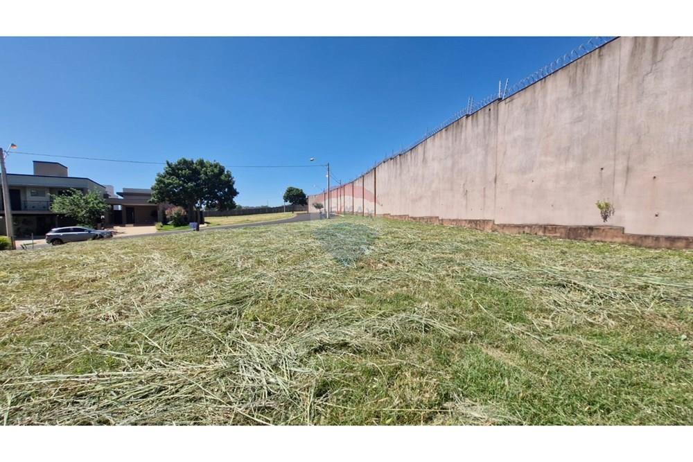 Terreno - Venda - Ribeirão Preto , São Paulo - WhatsApp Image 2025-03-21 at 11.20.34 (3).jpeg - 780181011-265