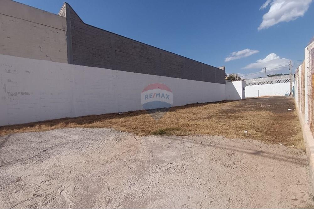 Outros - Alugar - Ribeirão Preto , São Paulo - IMG-20250812-WA0053.jpg - 780181012-753