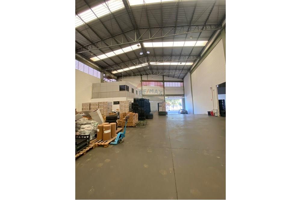 Galpão - Alugar - Ribeirão Preto , São Paulo - IMG-20250724-WA0002.jpg - 780181012-733